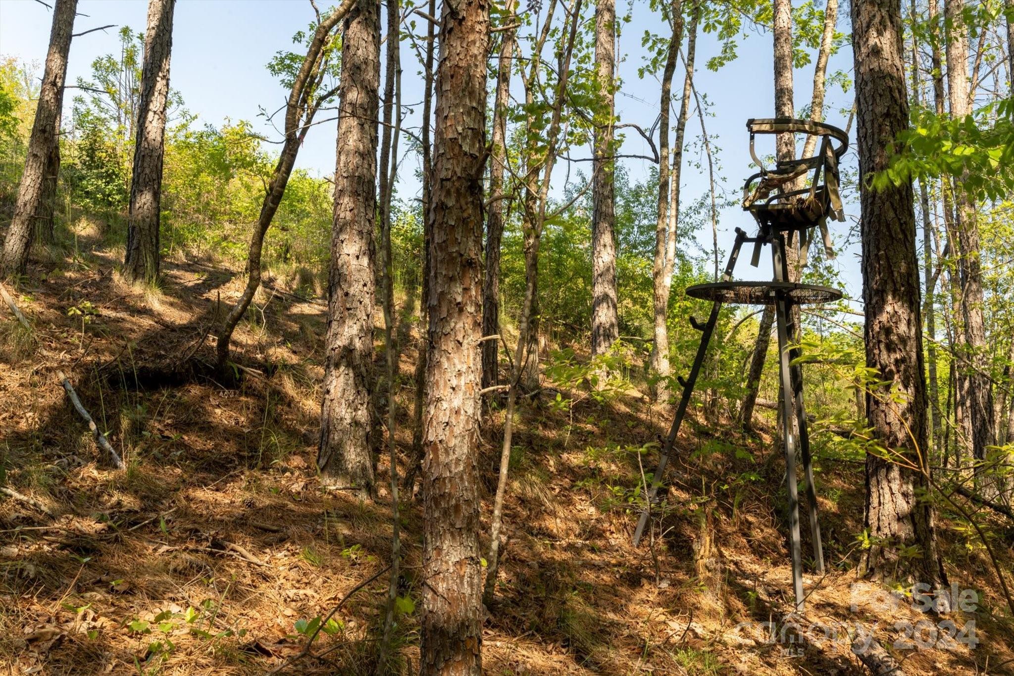 Ole Plantation - Land