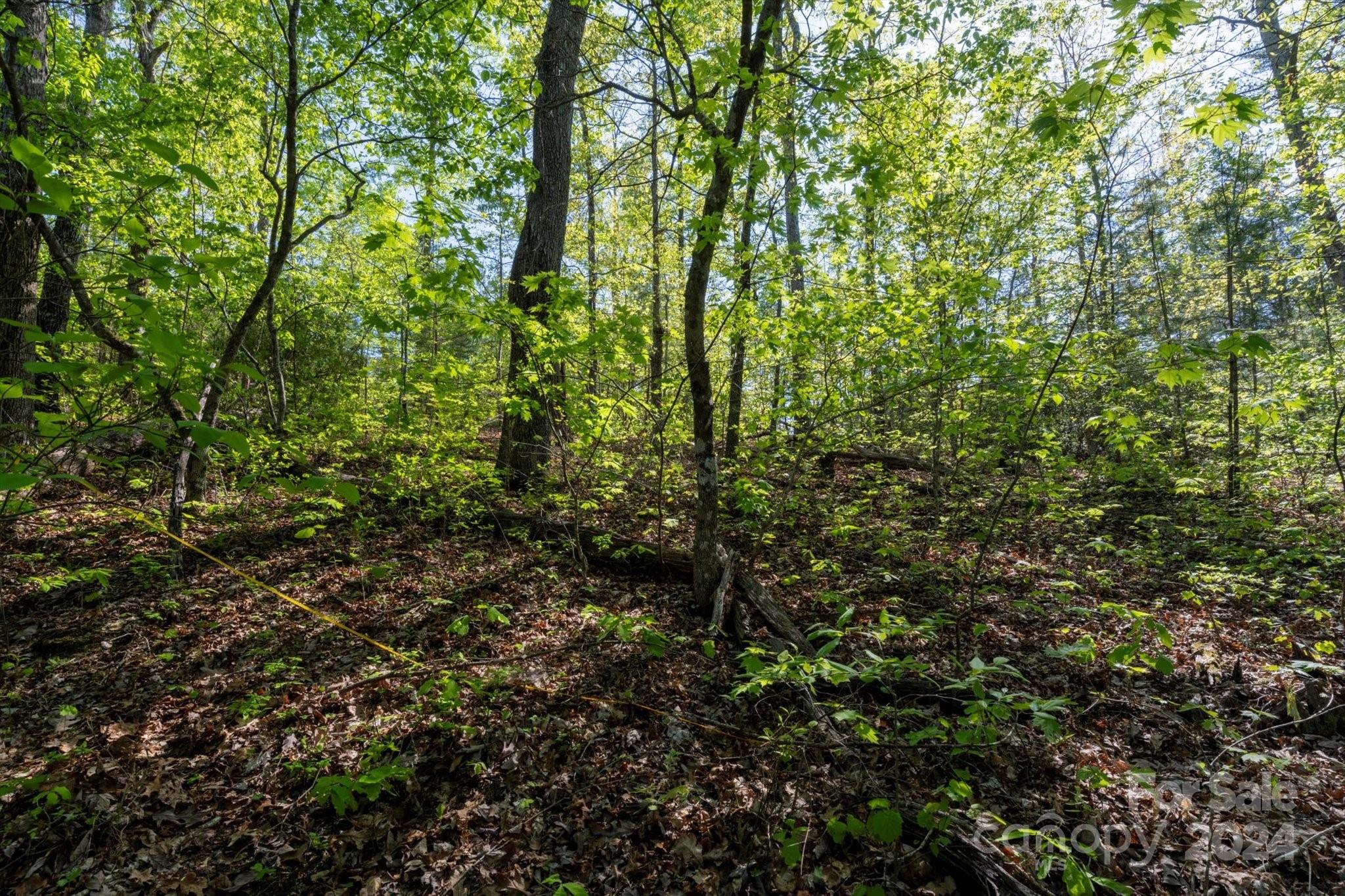 Ole Plantation - Land