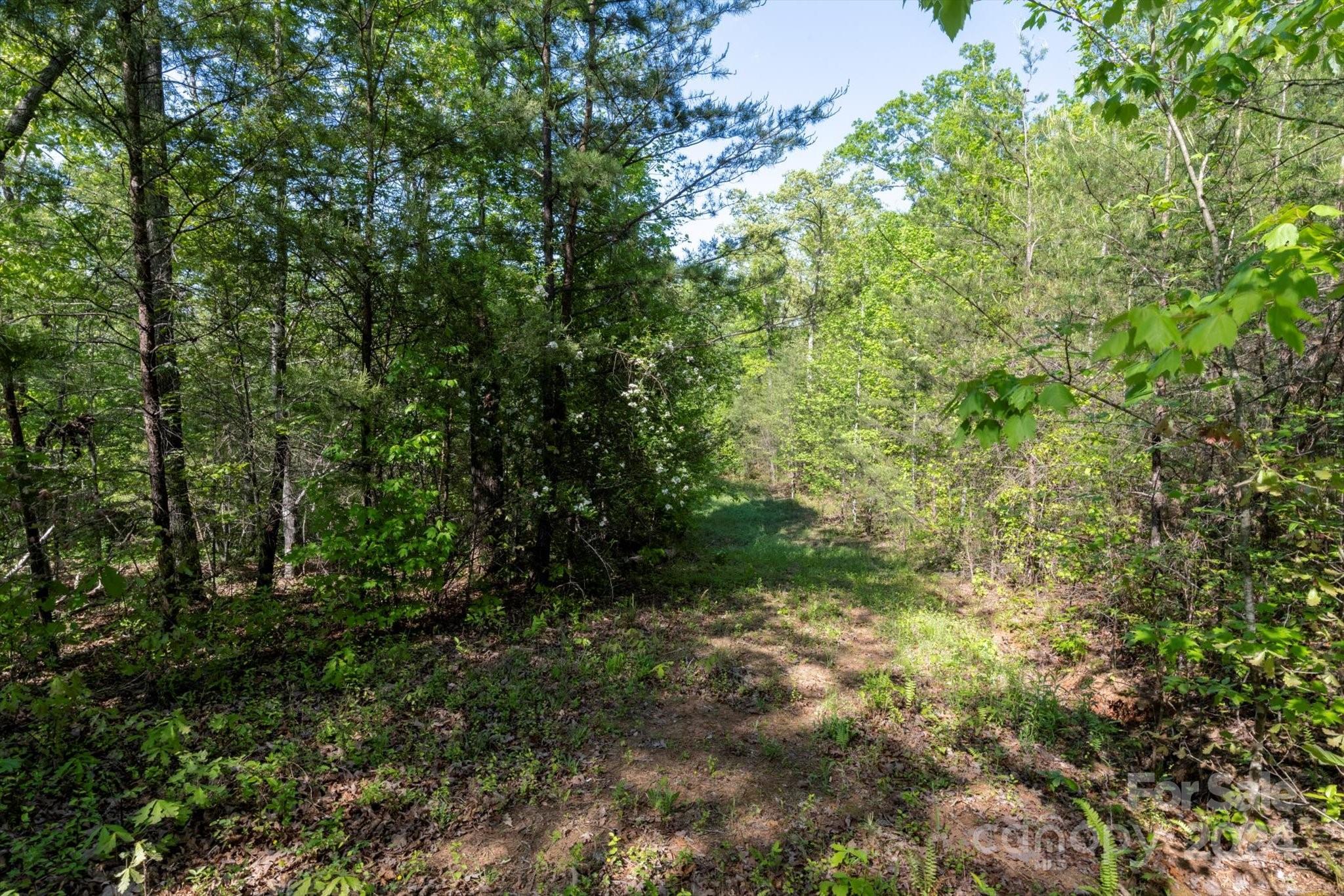 Ole Plantation - Land