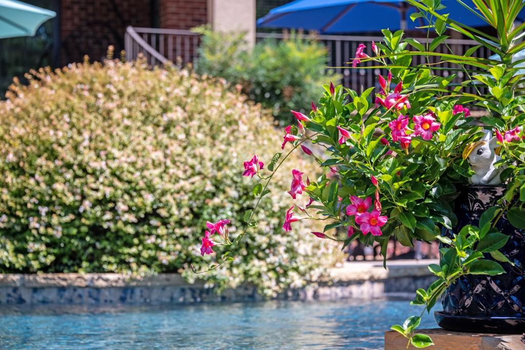 Skyecroft - Residential