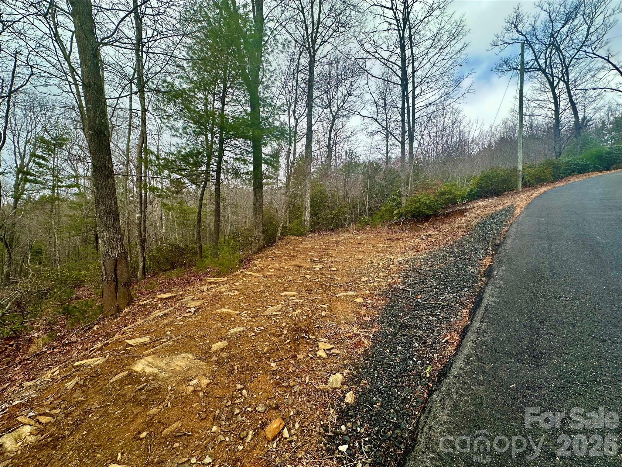 000 Orchard View Trail 11