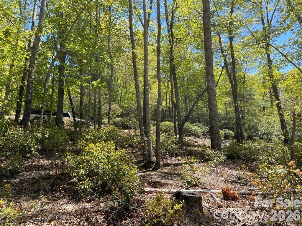 000 Orchard View Trail 11