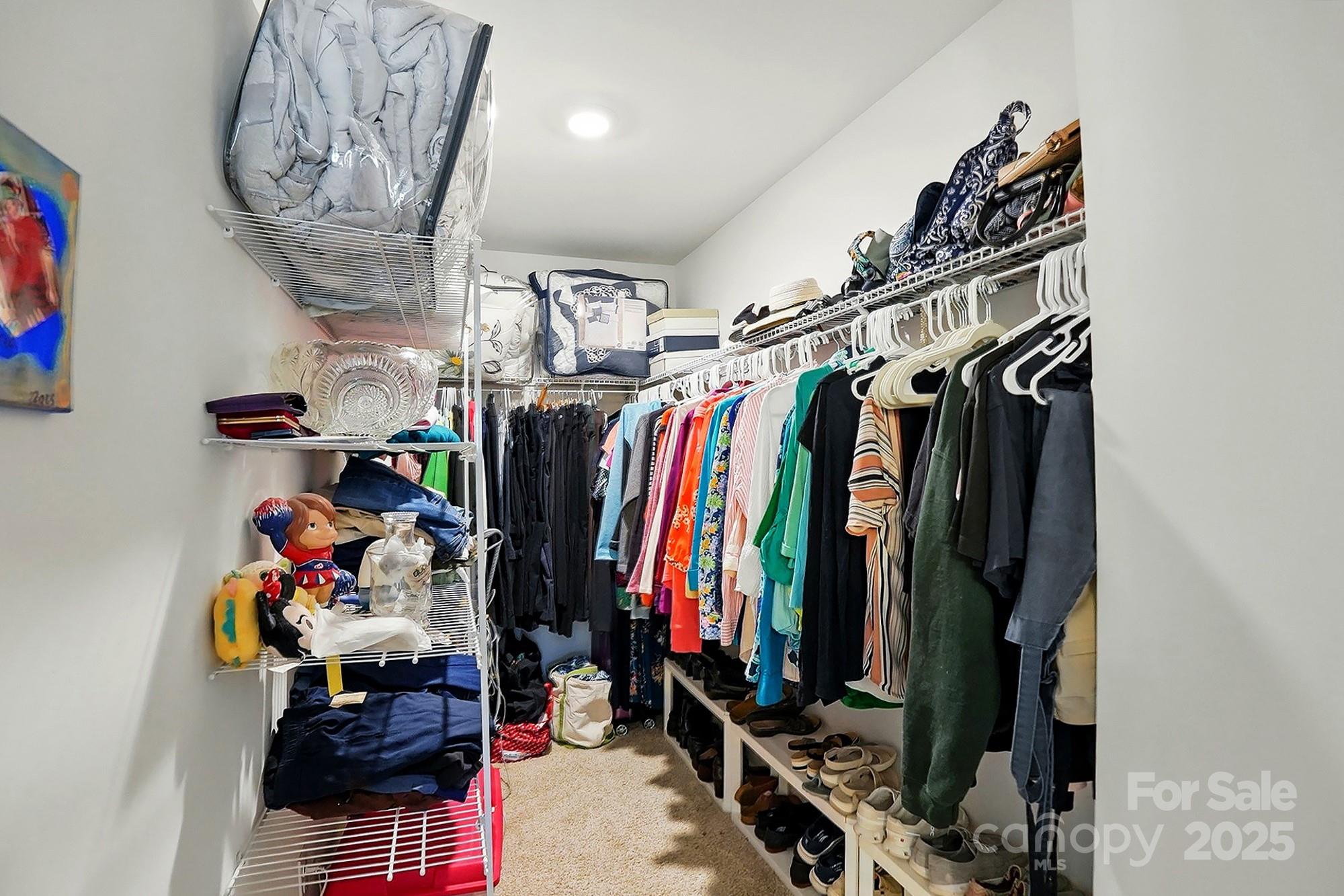 The Village At Ivy Ridge - Residential