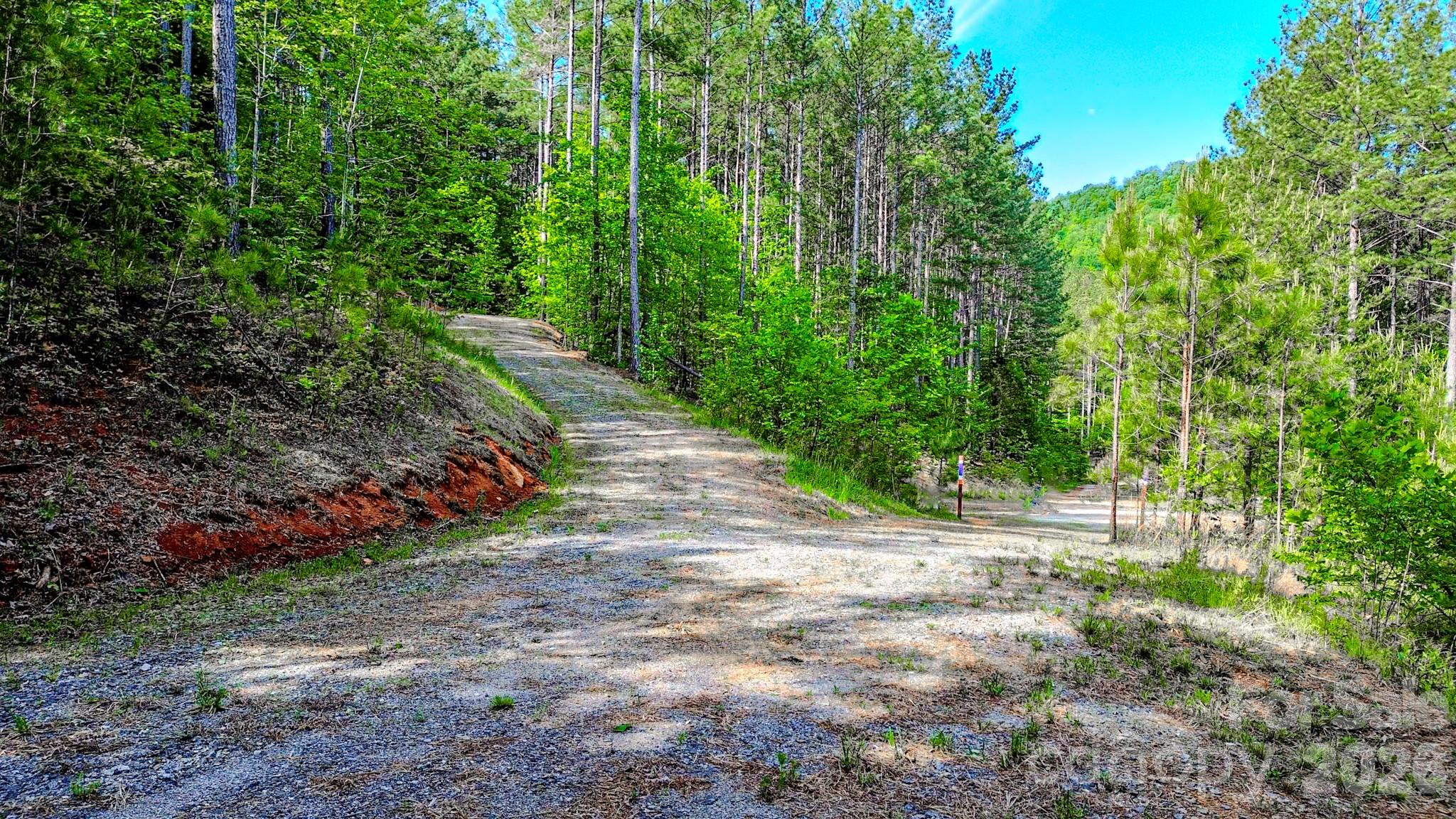 Fork Mountain - Land