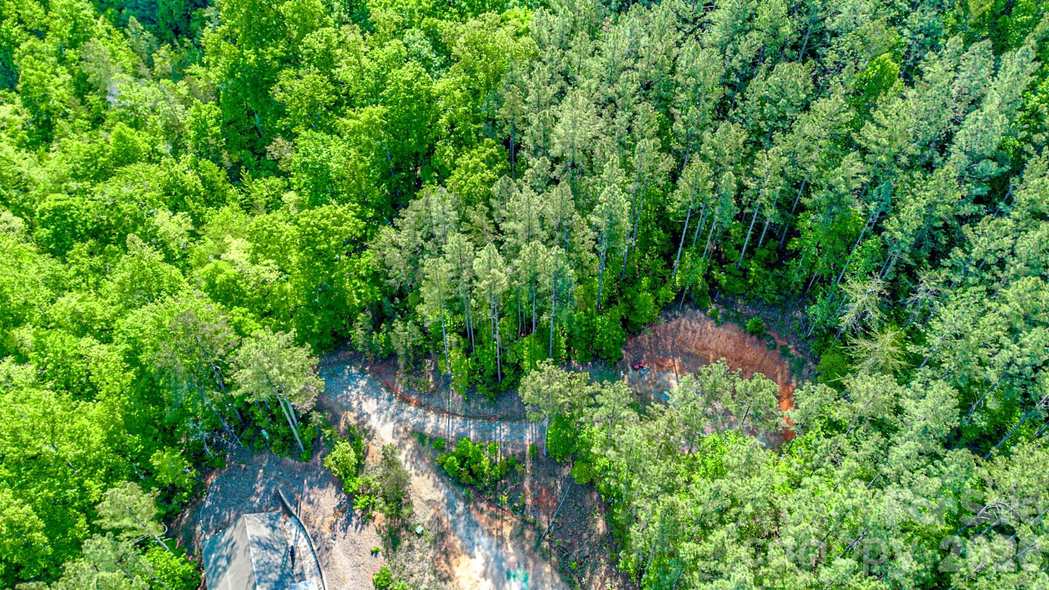 Fork Mountain - Land