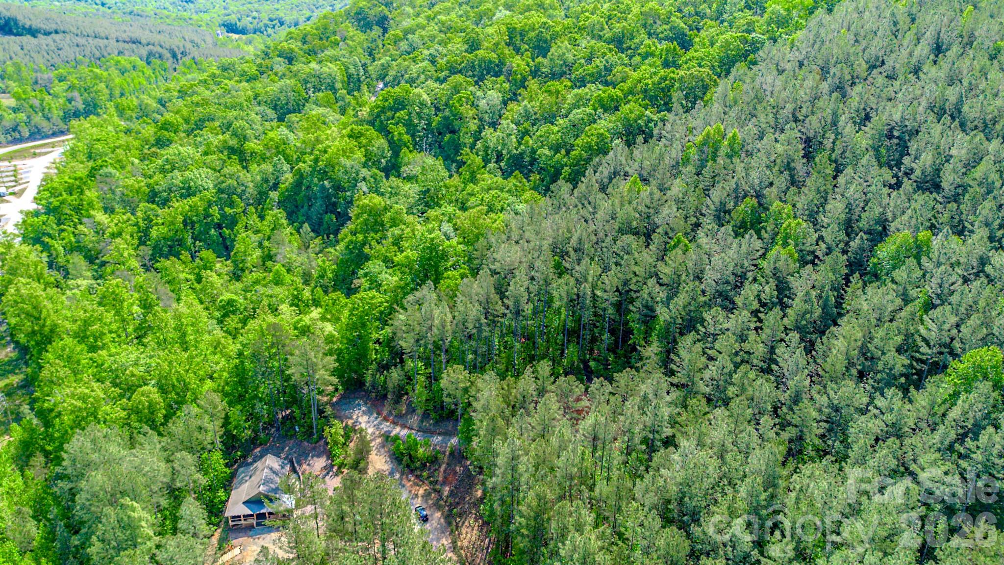Fork Mountain - Land