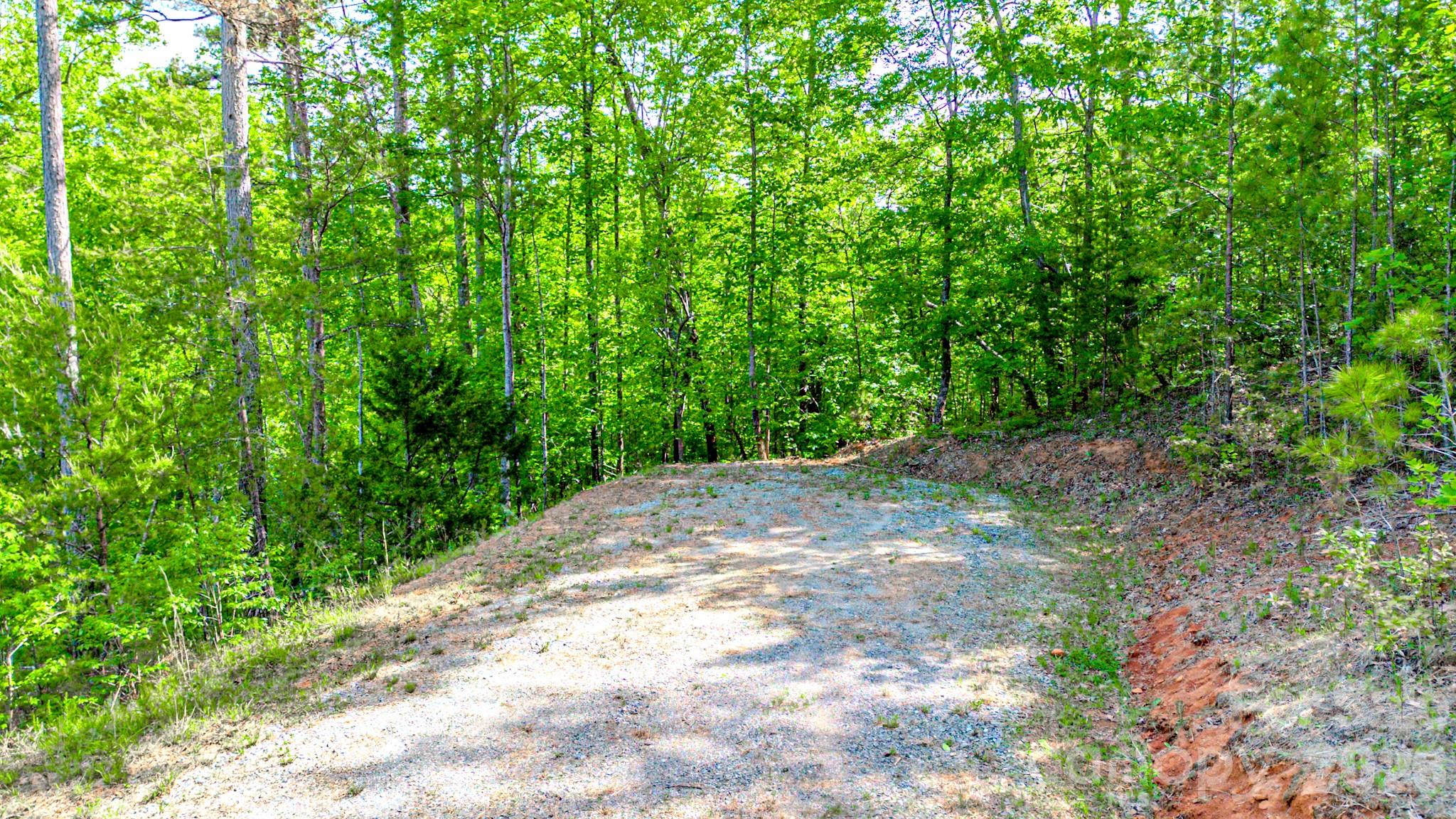 Fork Mountain - Land