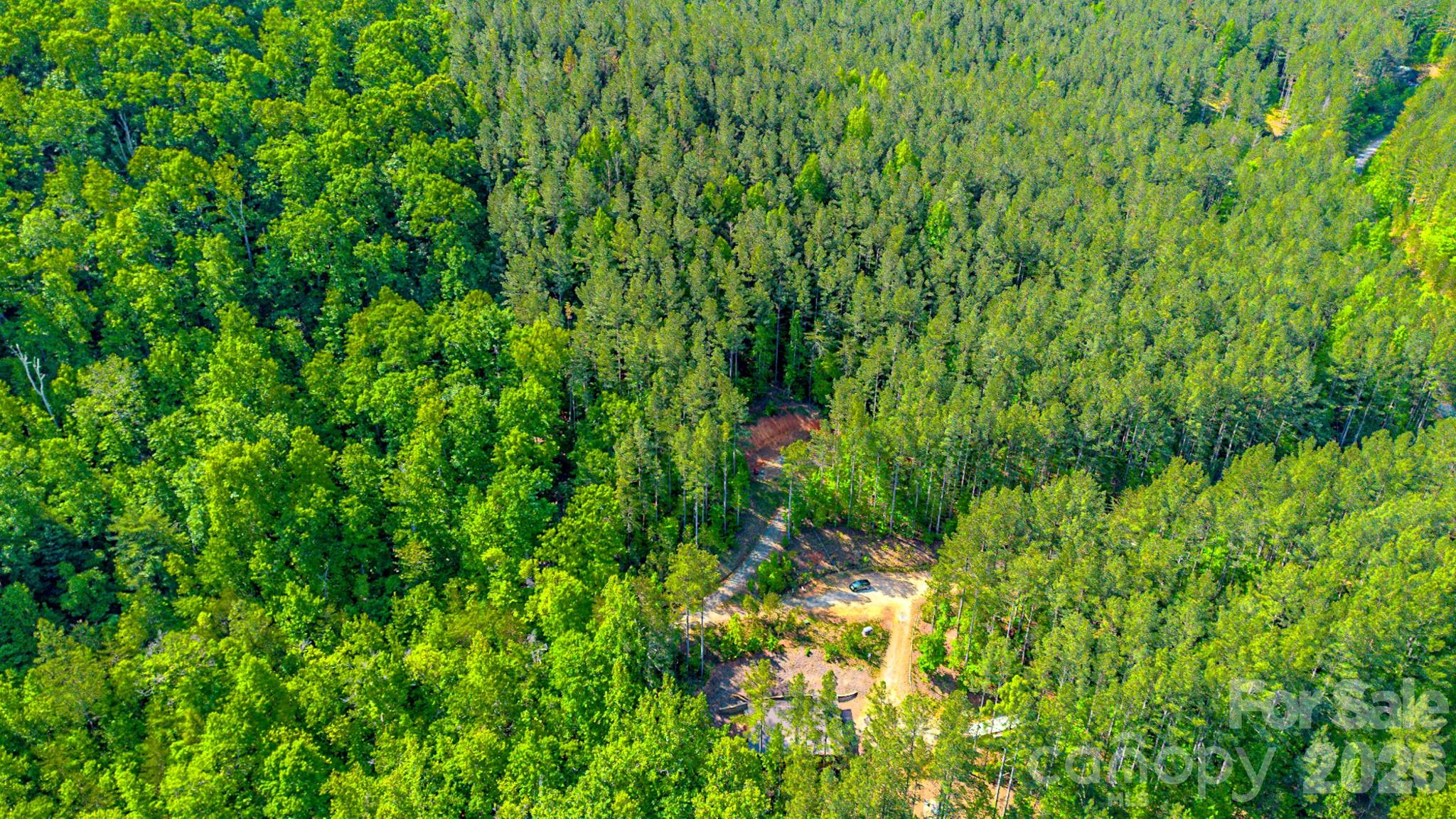 Fork Mountain - Land