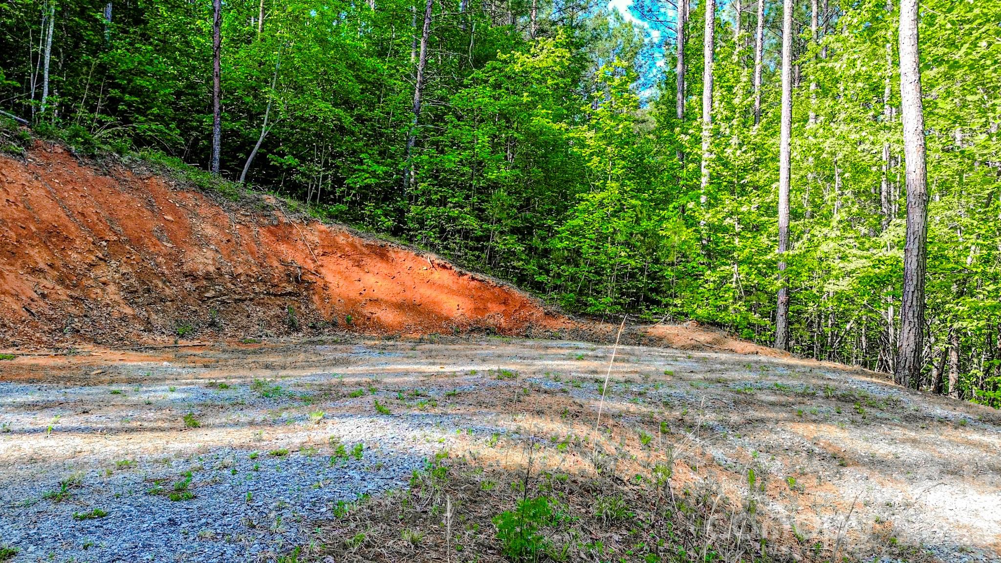 Fork Mountain - Land