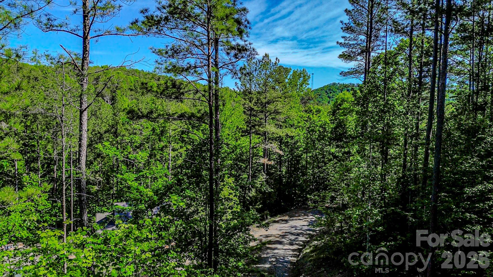 Fork Mountain - Land