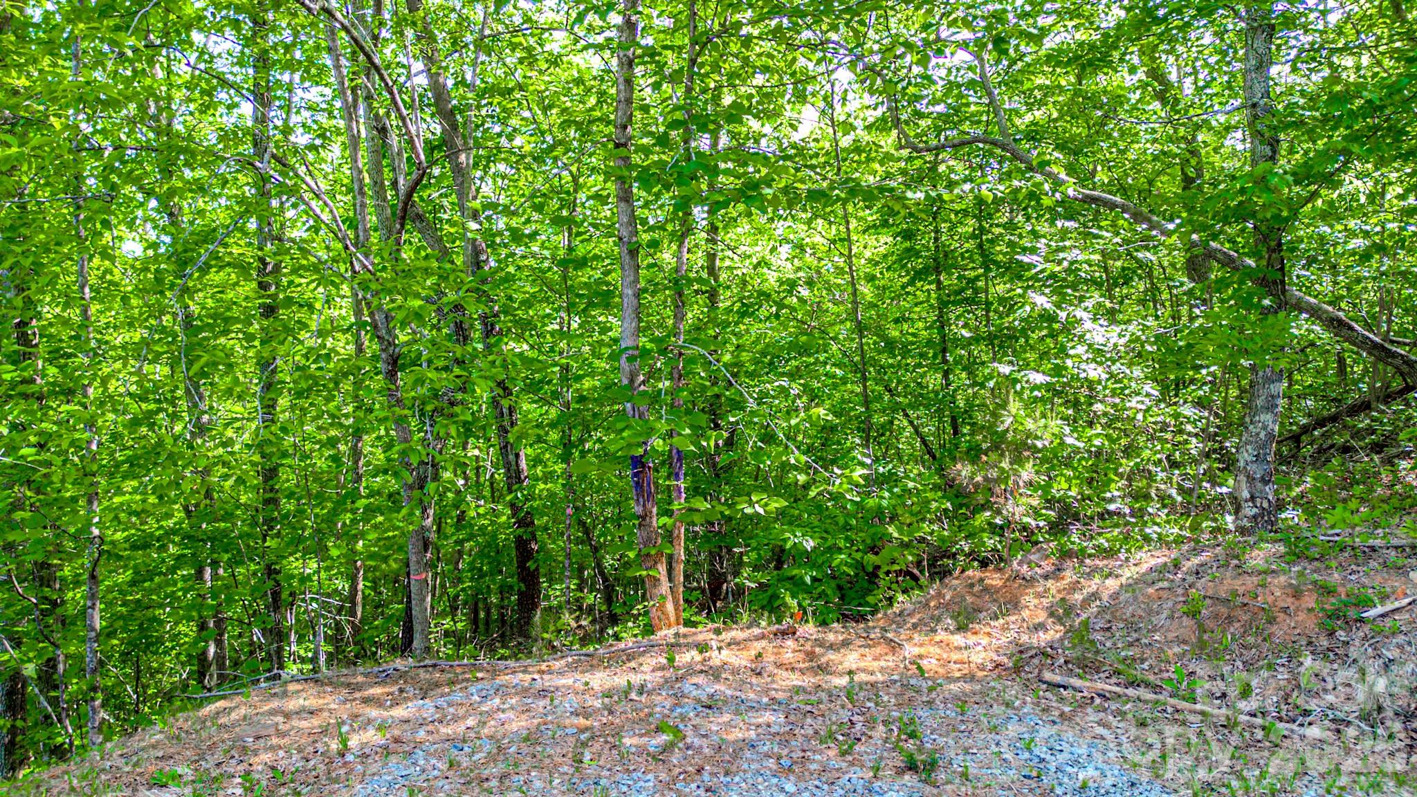 Fork Mountain - Land