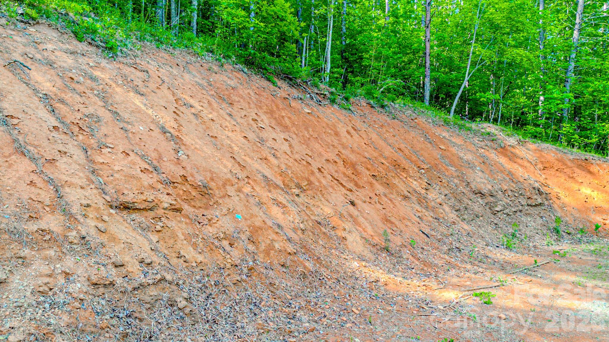 Fork Mountain - Land