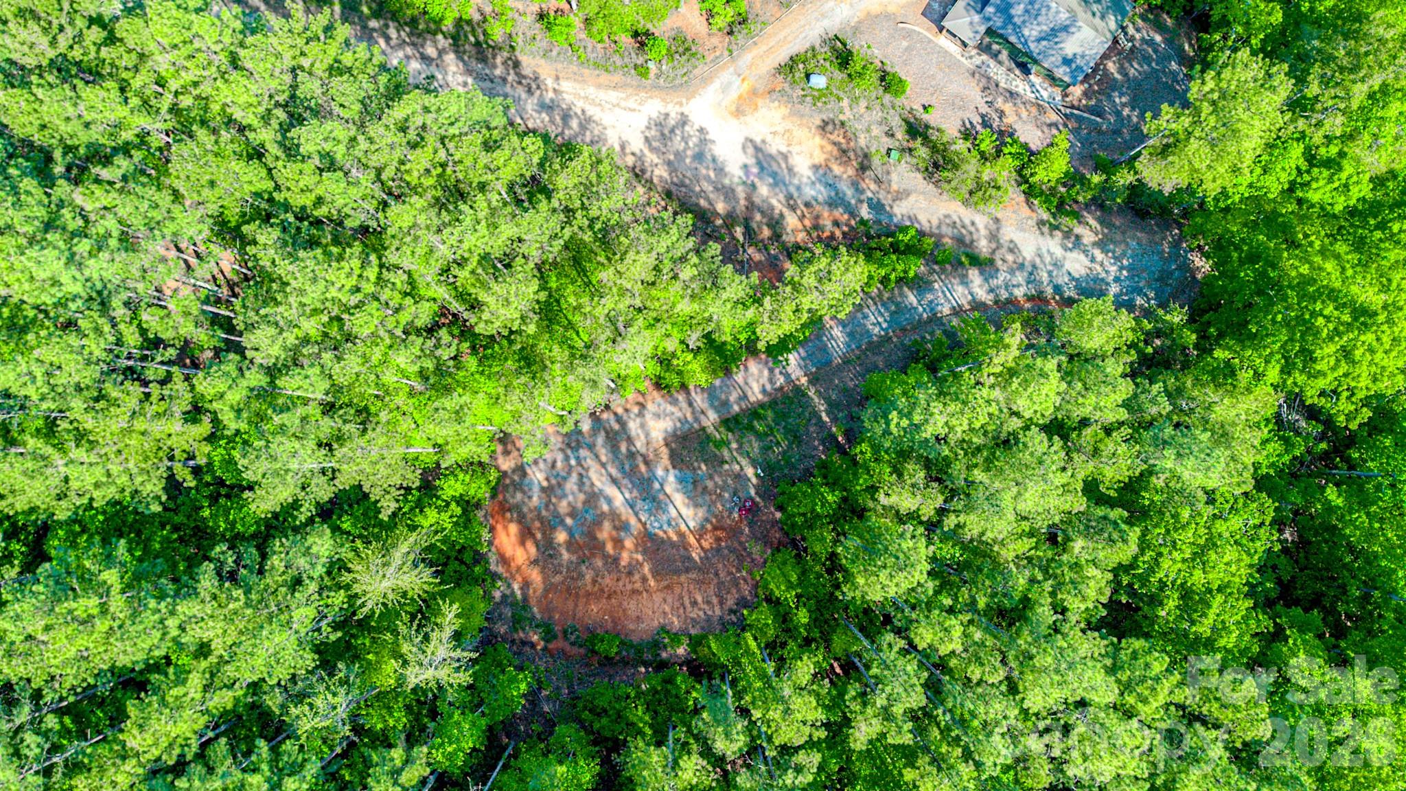 Fork Mountain - Land