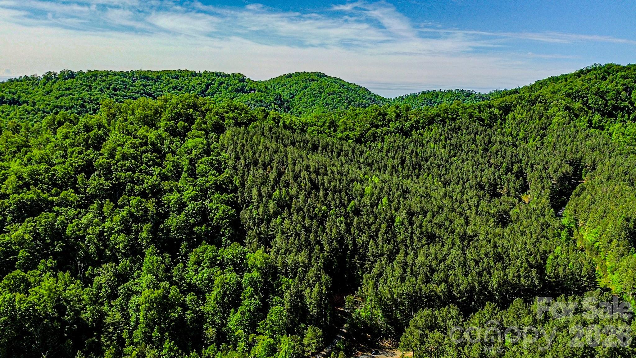 Fork Mountain - Land