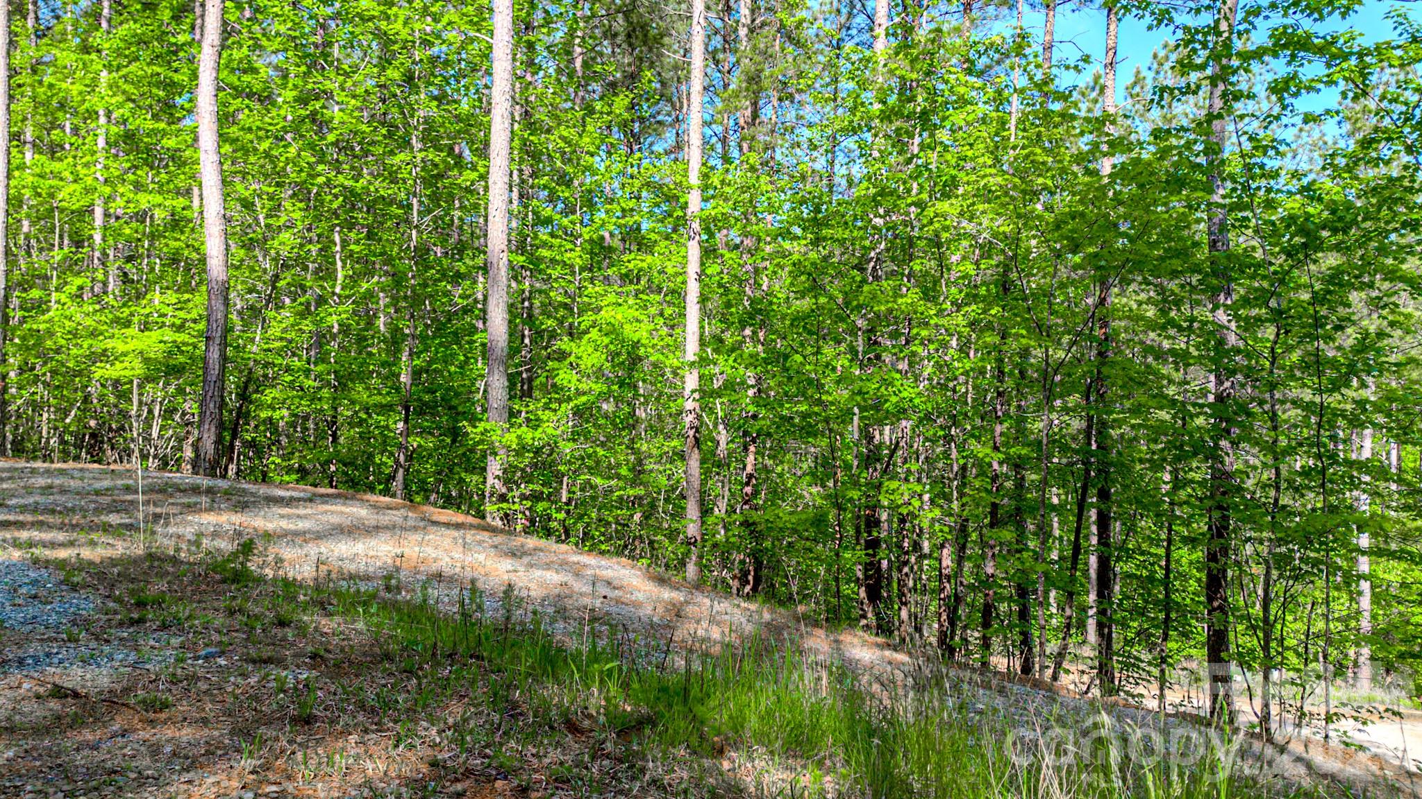 Fork Mountain - Land