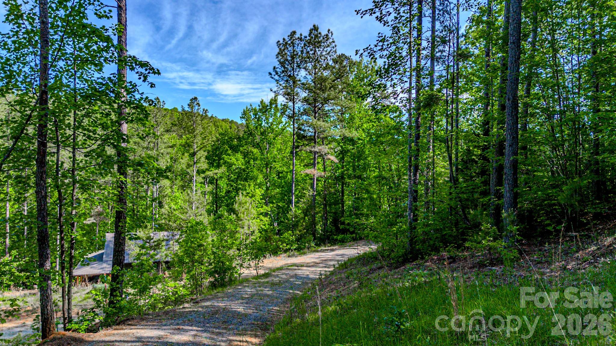 Fork Mountain - Land