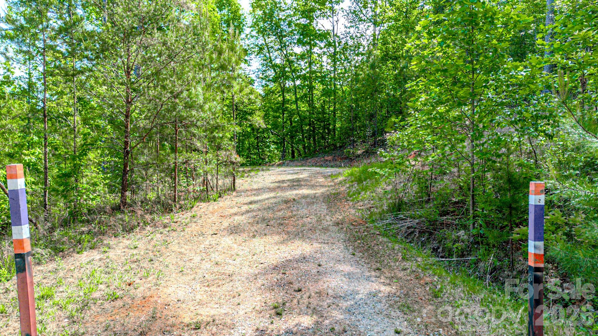 146 S Branch Drive