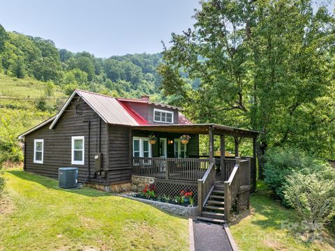 107 Nellies Lane Canton NC 28716