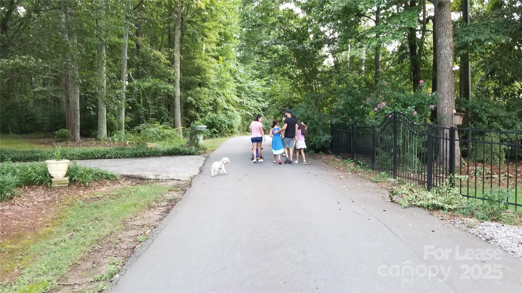 None - Residential Lease