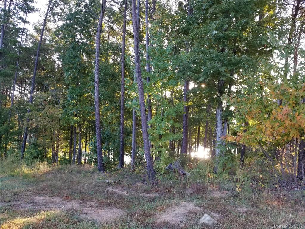 Handsmill On Lake Wylie - Land