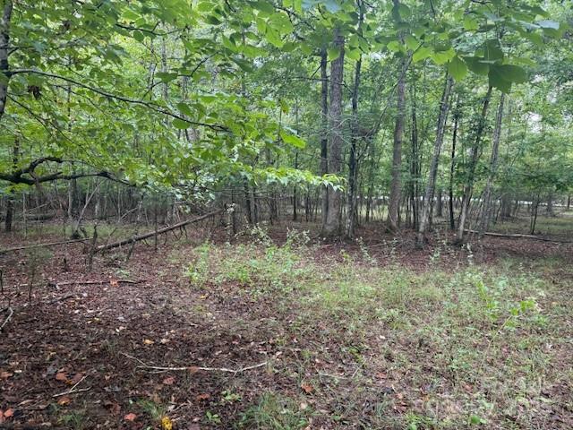 Green River Highlands - Land