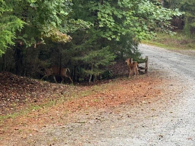 Green River Highlands - Land