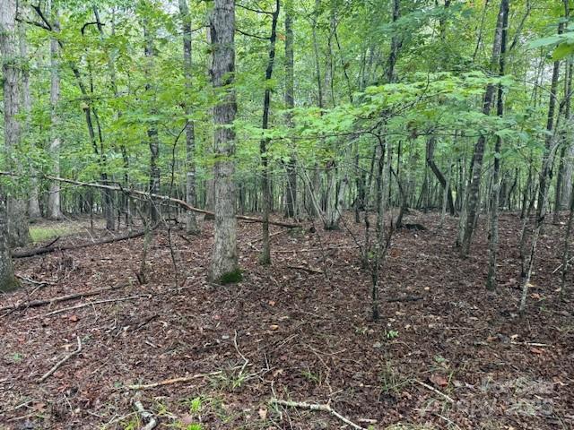 Green River Highlands - Land