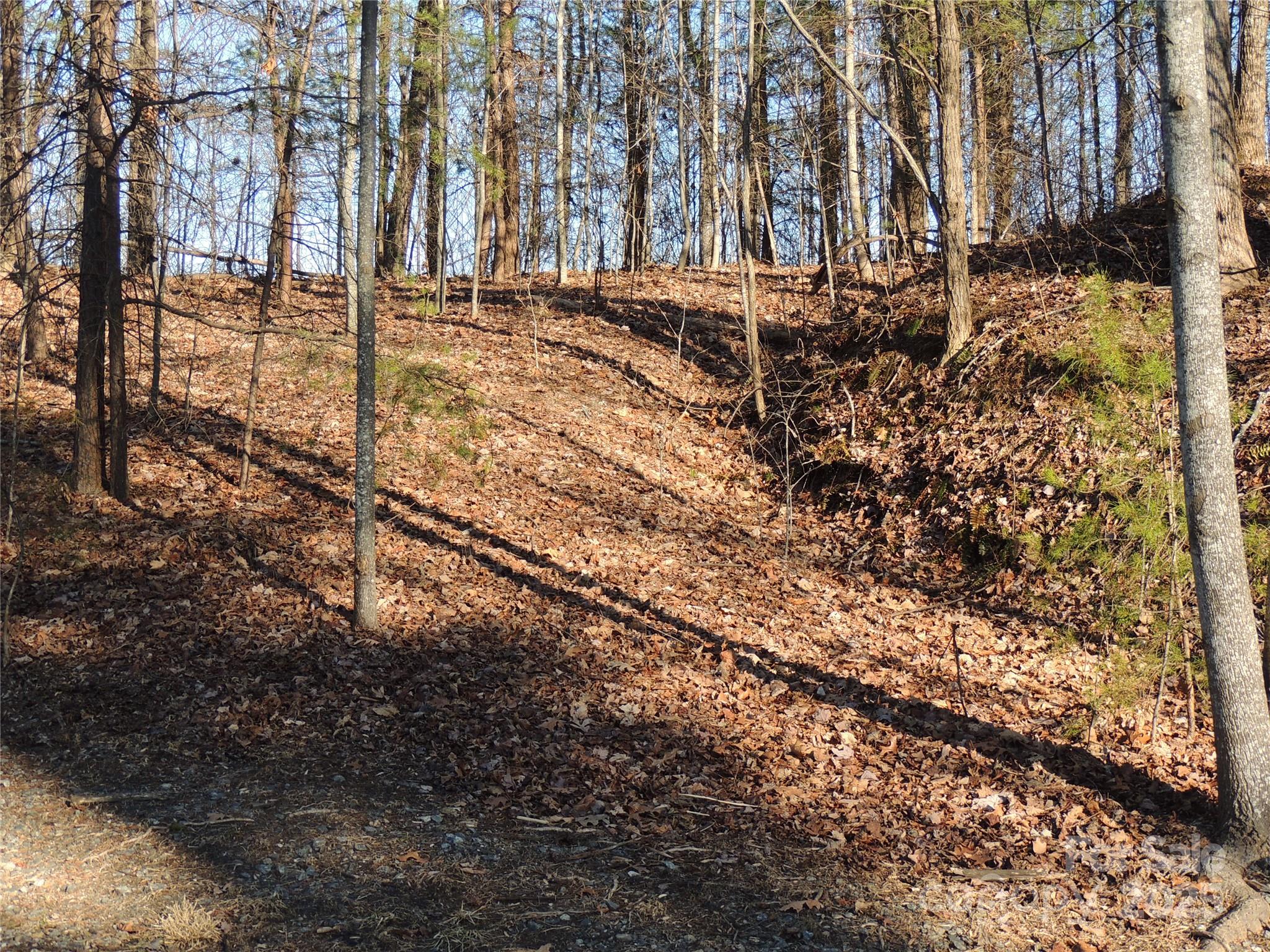 29 Summit Parkway