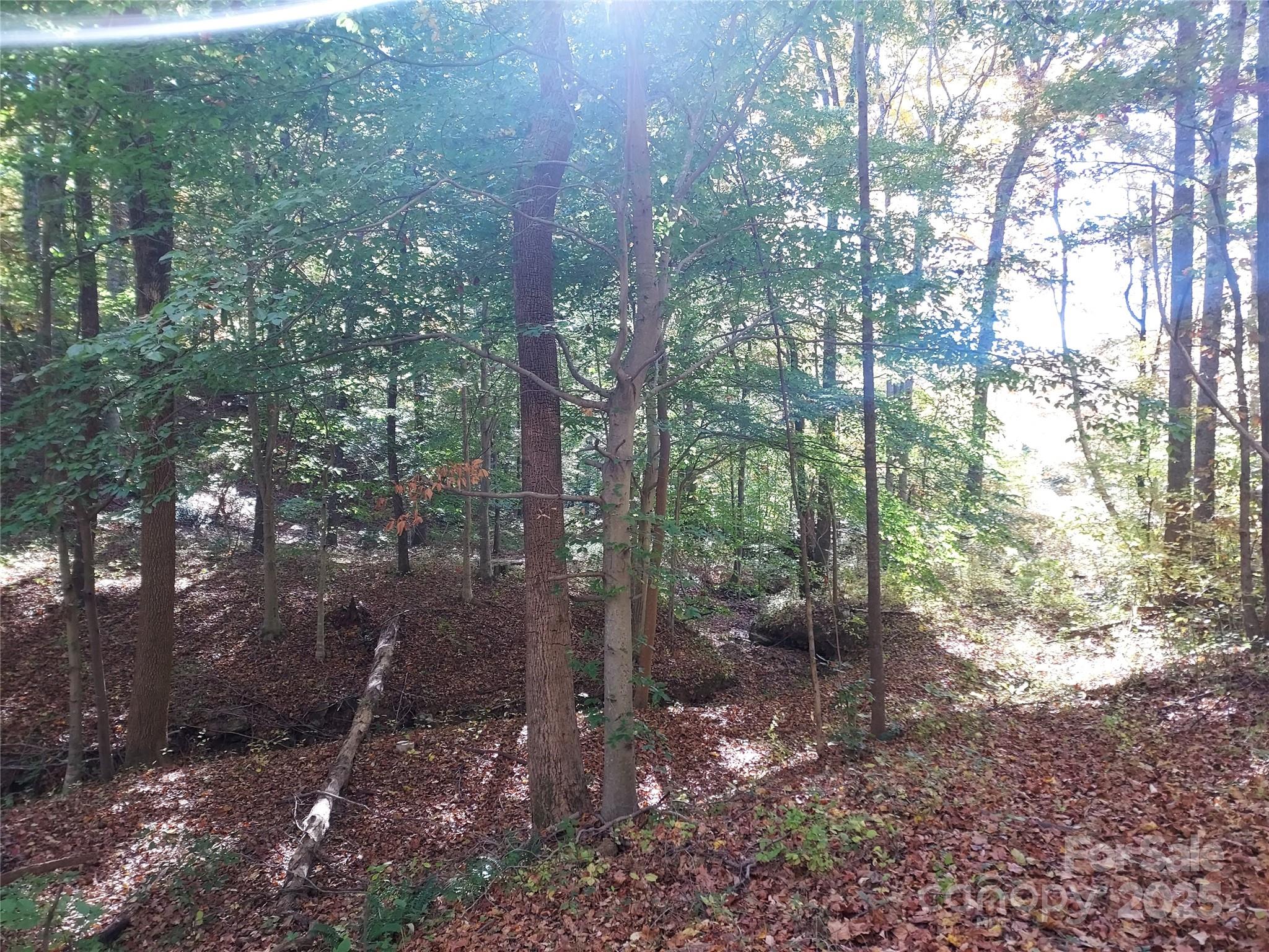 5 Acres Blue Ridge Trail