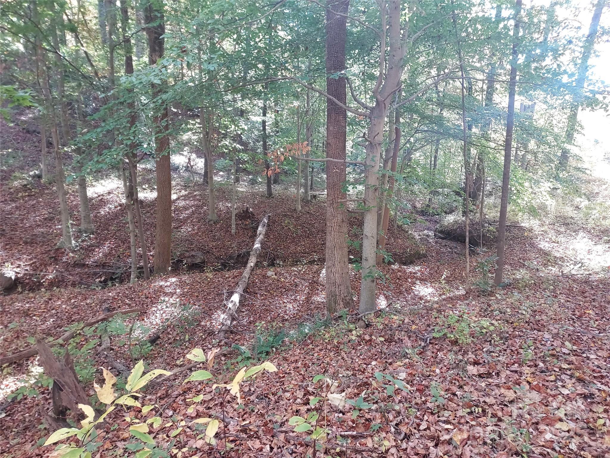 5 Acres Blue Ridge Trail