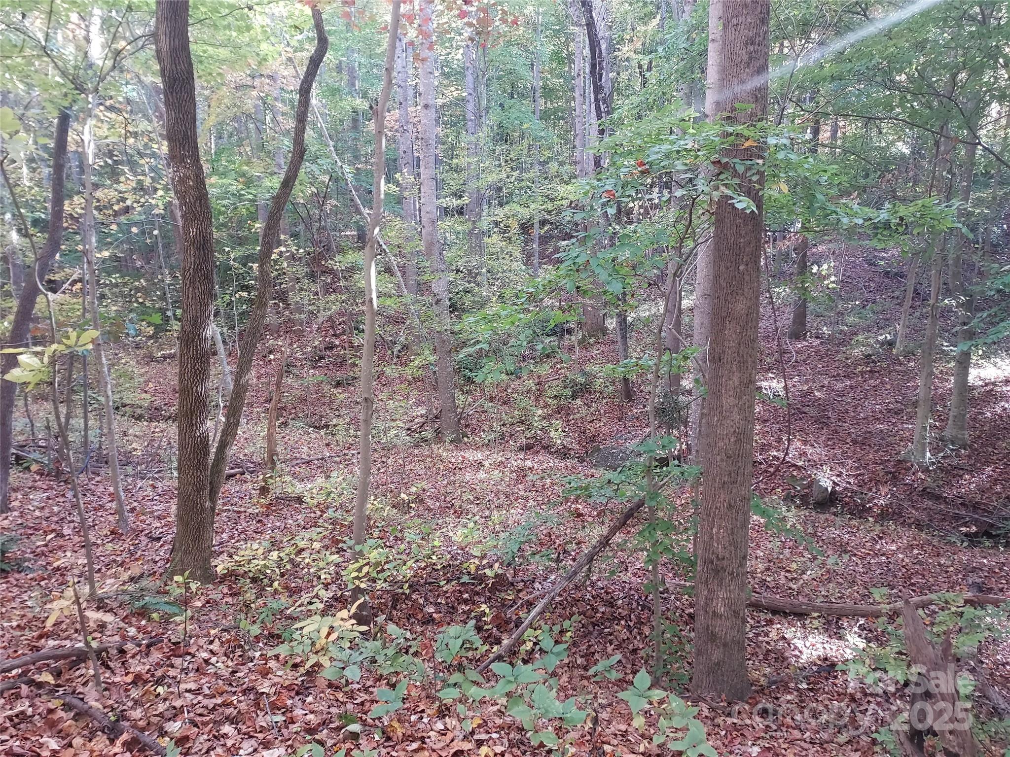 5 Acres Blue Ridge Trail