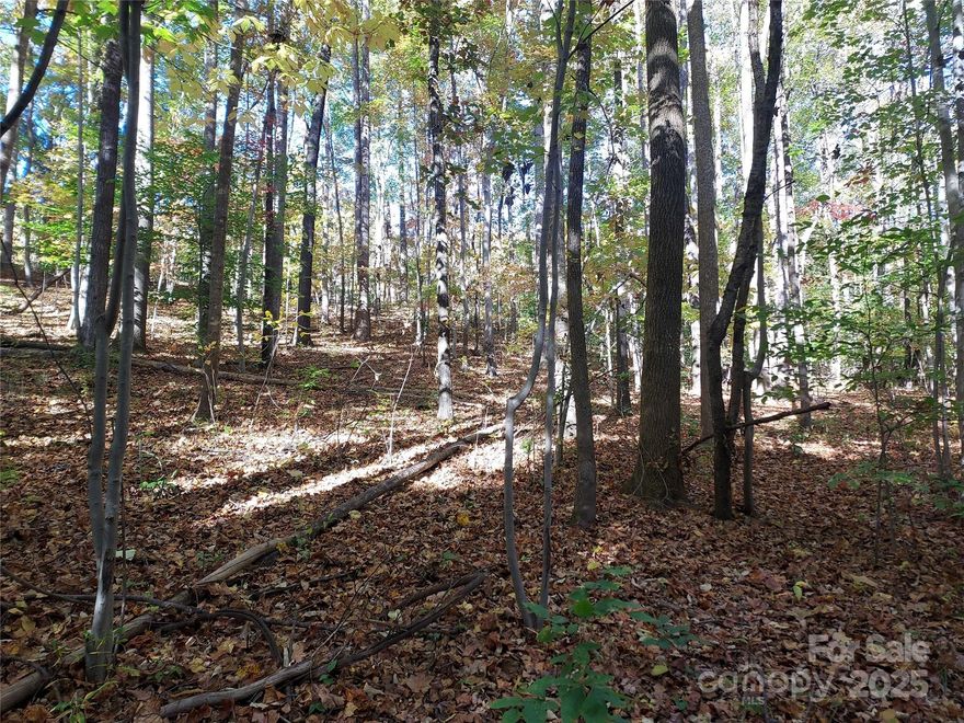 "Over the River & Through the Woods" to this 5 Unrestricted acres you go!  5 acre parcel sits at the end of a long private driveway that services approx 3 properties.  The land is mostly wooded - AND - has meandering creeks running through it!  Property is unrestricted,  so mobile homes & tiny homes are allowed (consult with County for specific guidelines & approval).  Property is adjacent to I-26. Land is located off of Skyuka Rd near 1863 Skyuka Rd.