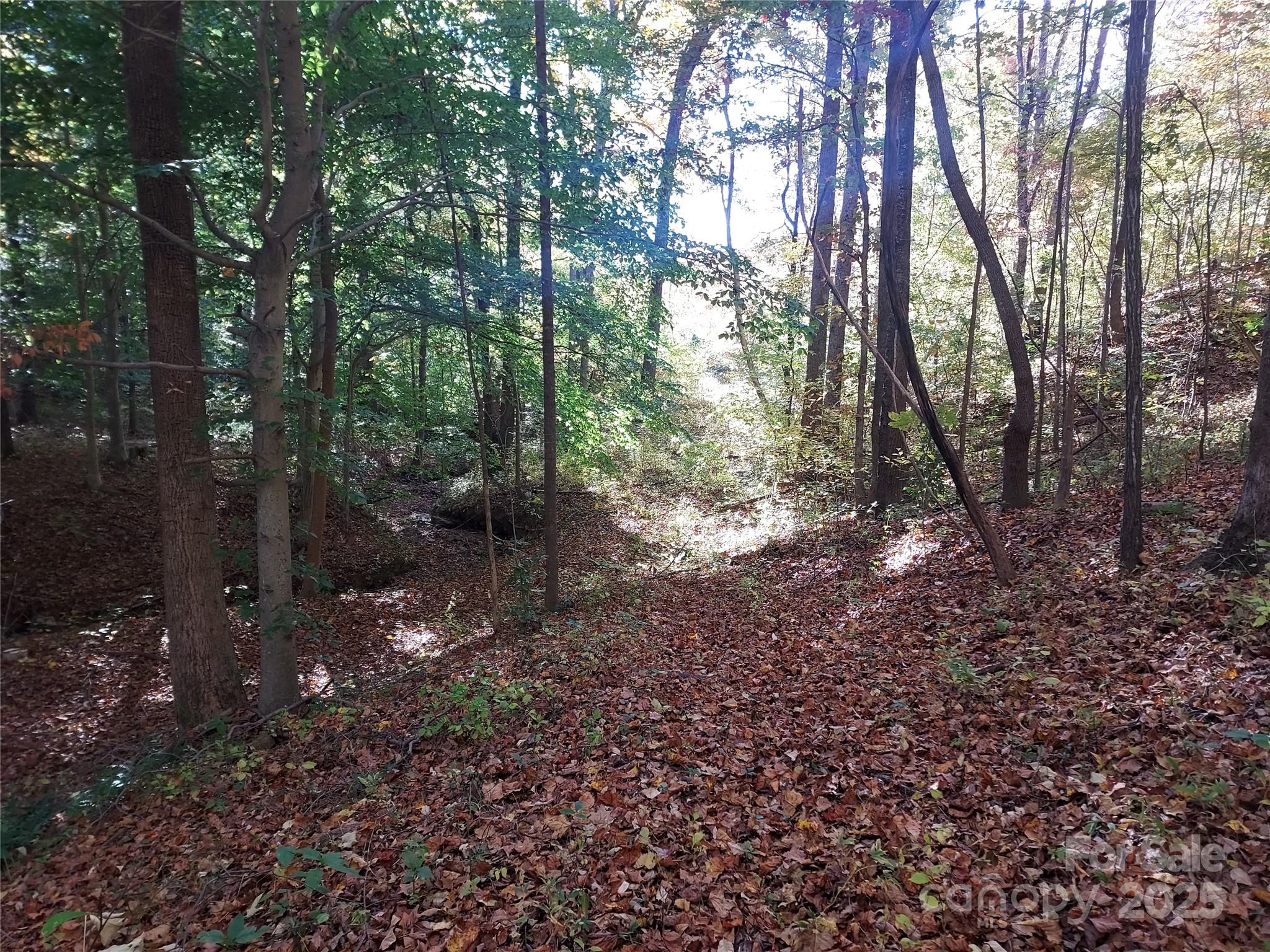 5 Acres Blue Ridge Trail
