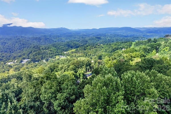 293 BAKERSVILLE MEM CEM RD, BAKERSVILLE, NC 28705 - Image 9a76b94d2bfa47c2f4ab0a40aa5c43fc/3095390919