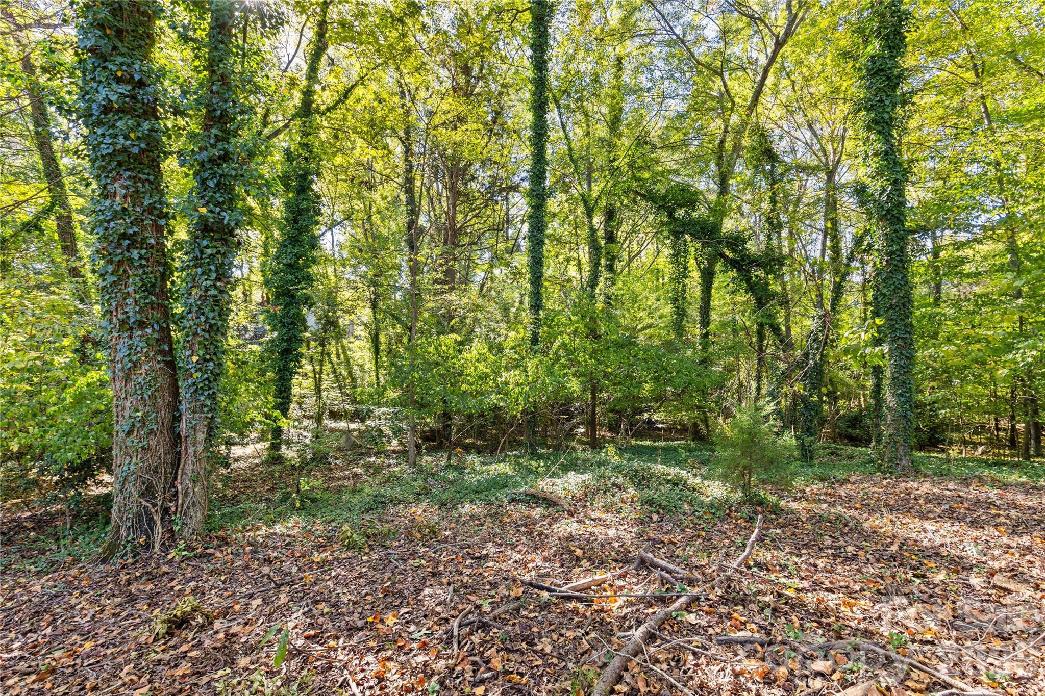 Hampton Leas - Residential