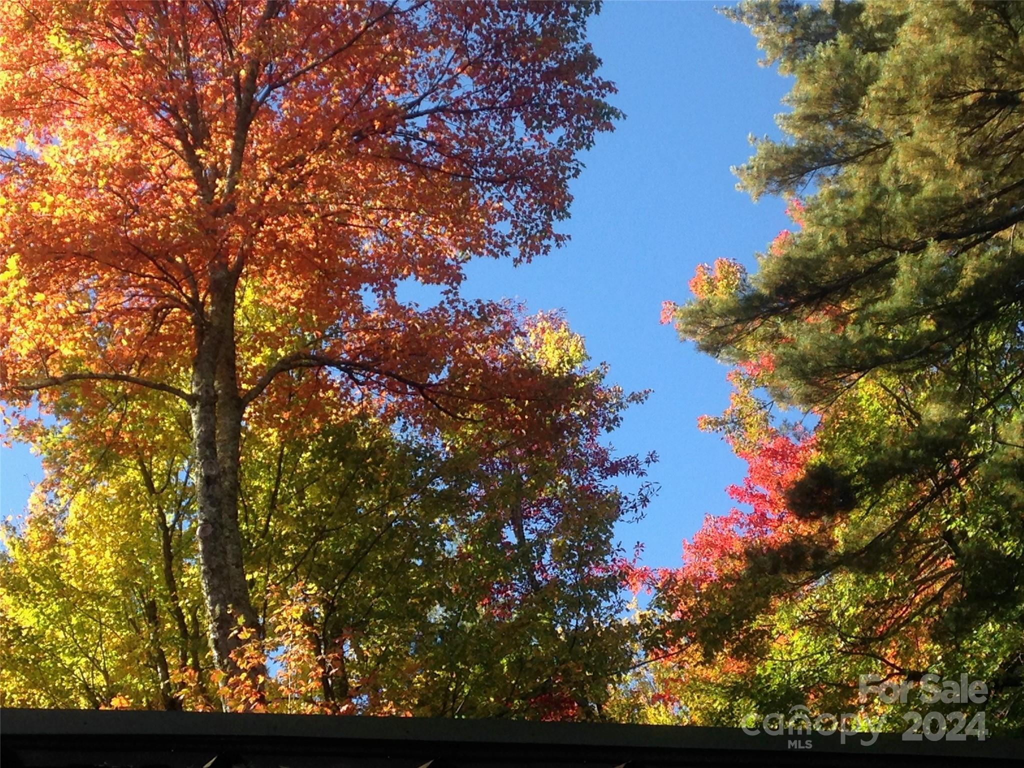 Rocky Mountain Acres - Residential