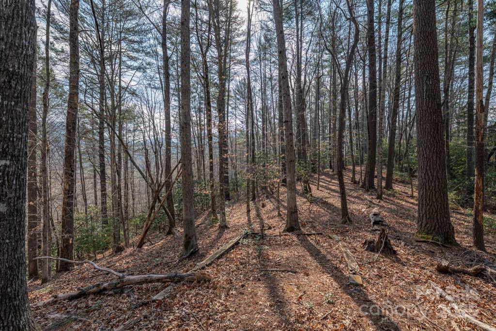 Leatherwood Mountains - Land