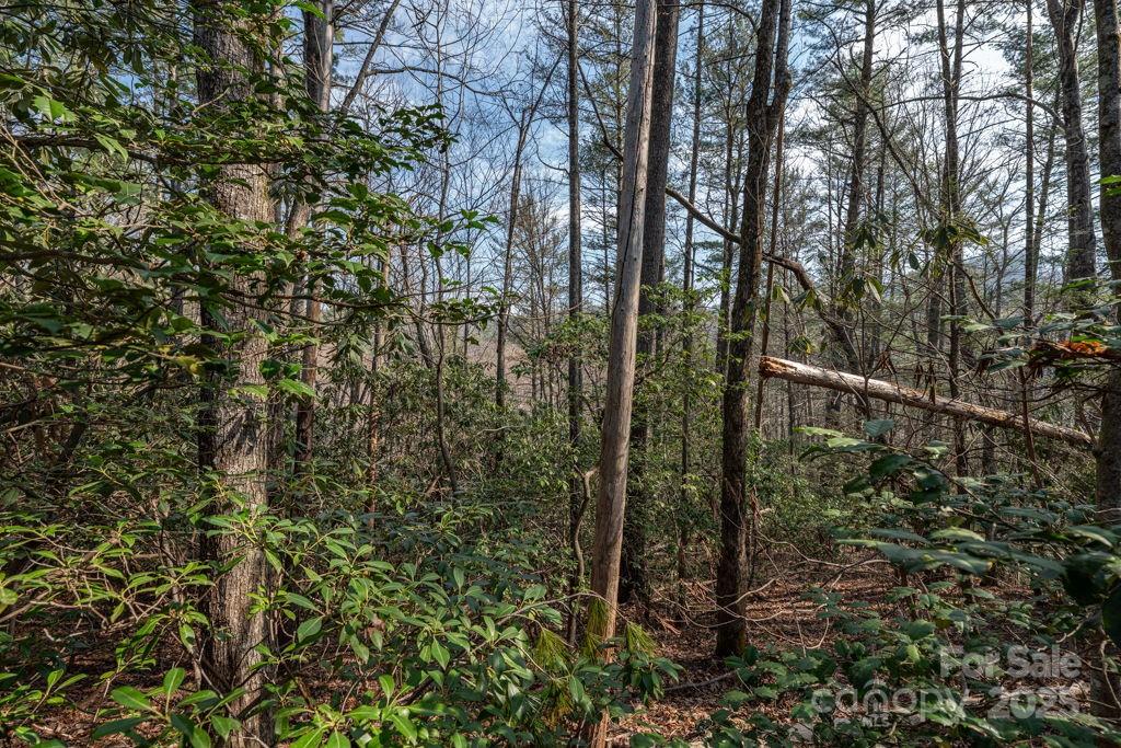 Leatherwood Mountains - Land