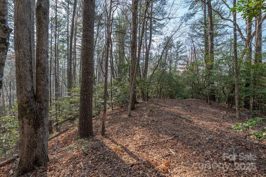 Leatherwood Mountains - Land