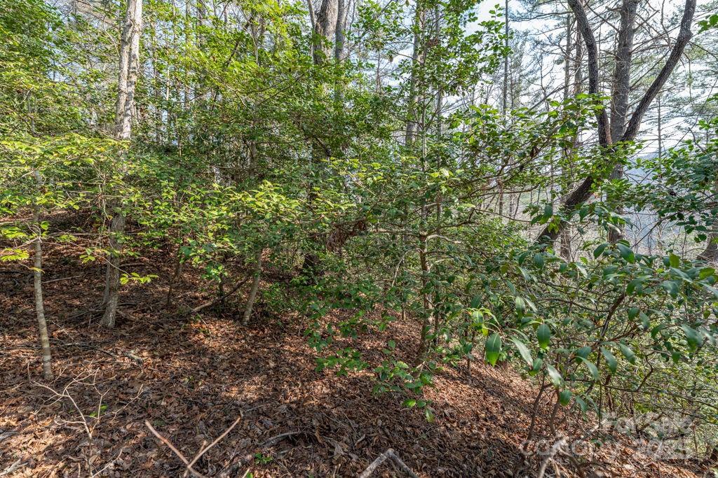 Leatherwood Mountains - Land