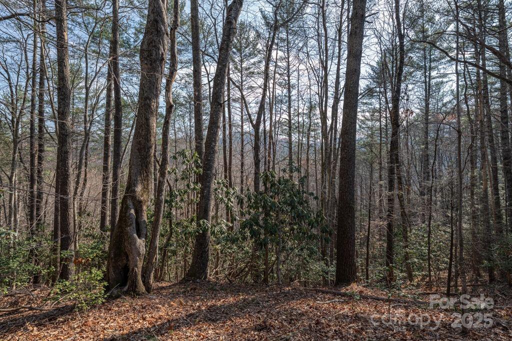 Leatherwood Mountains - Land