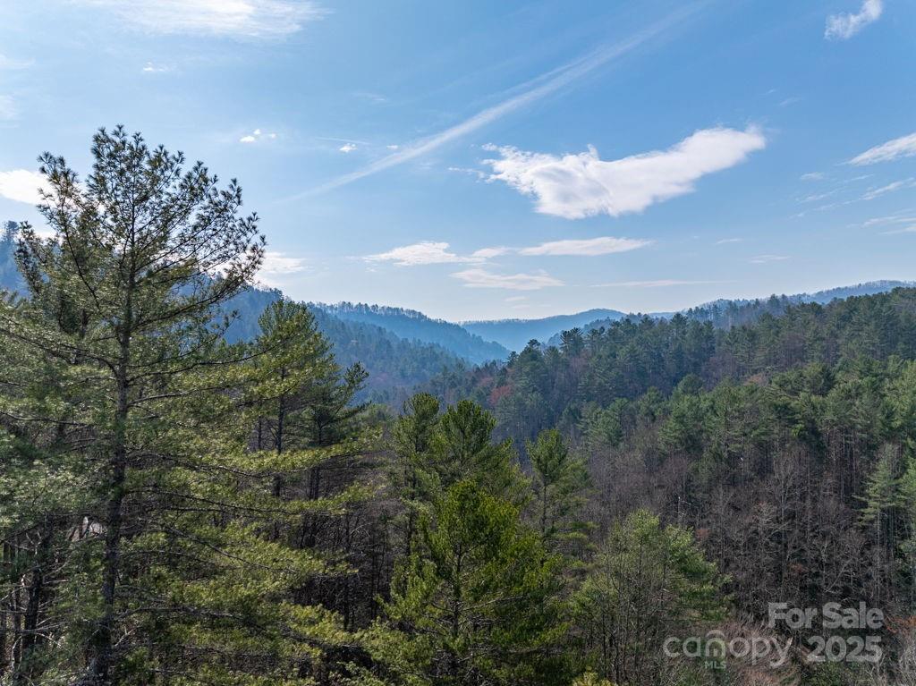 Leatherwood Mountains - Land