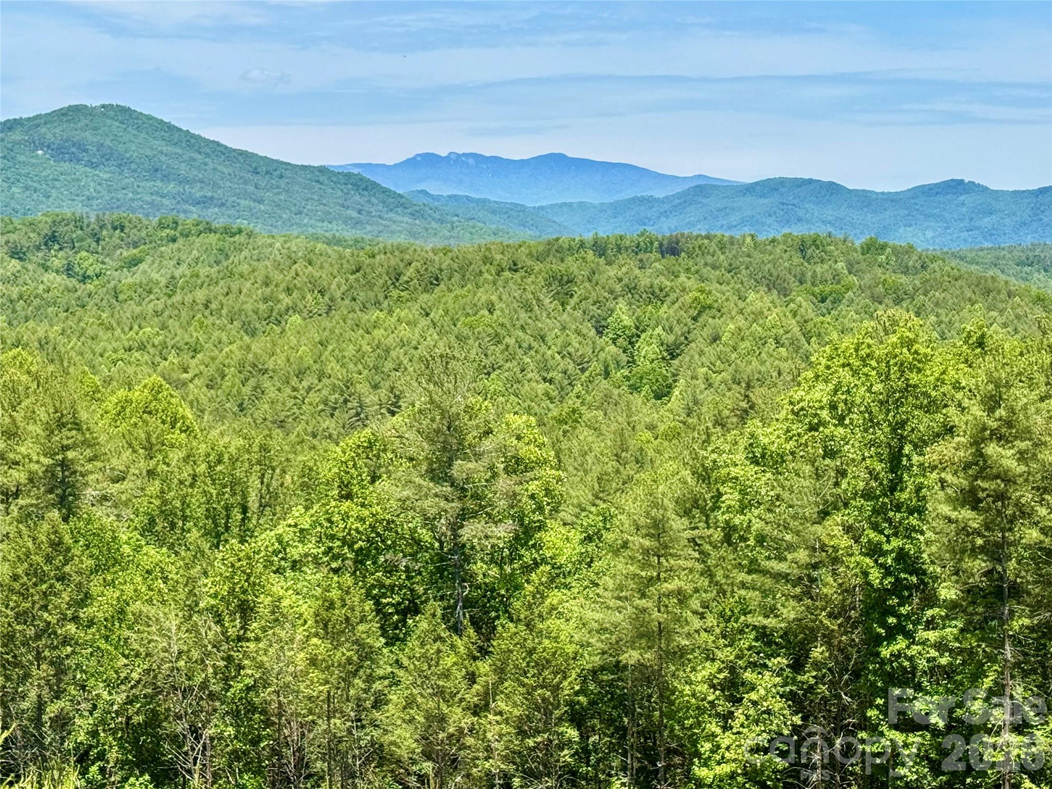 The Coves Mountain River Club - Land