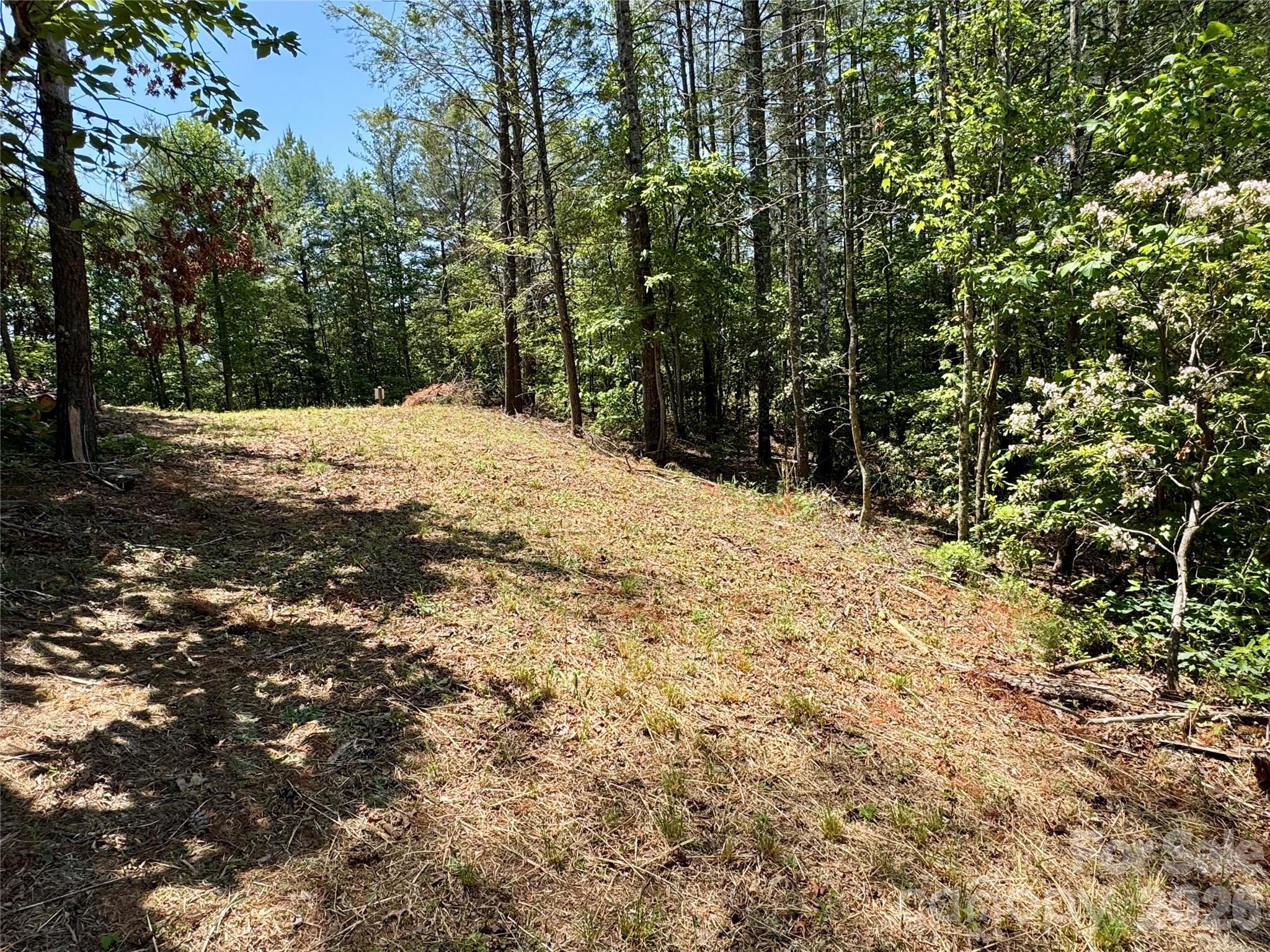 Lot 731, 5971 Box Turtle Run 731