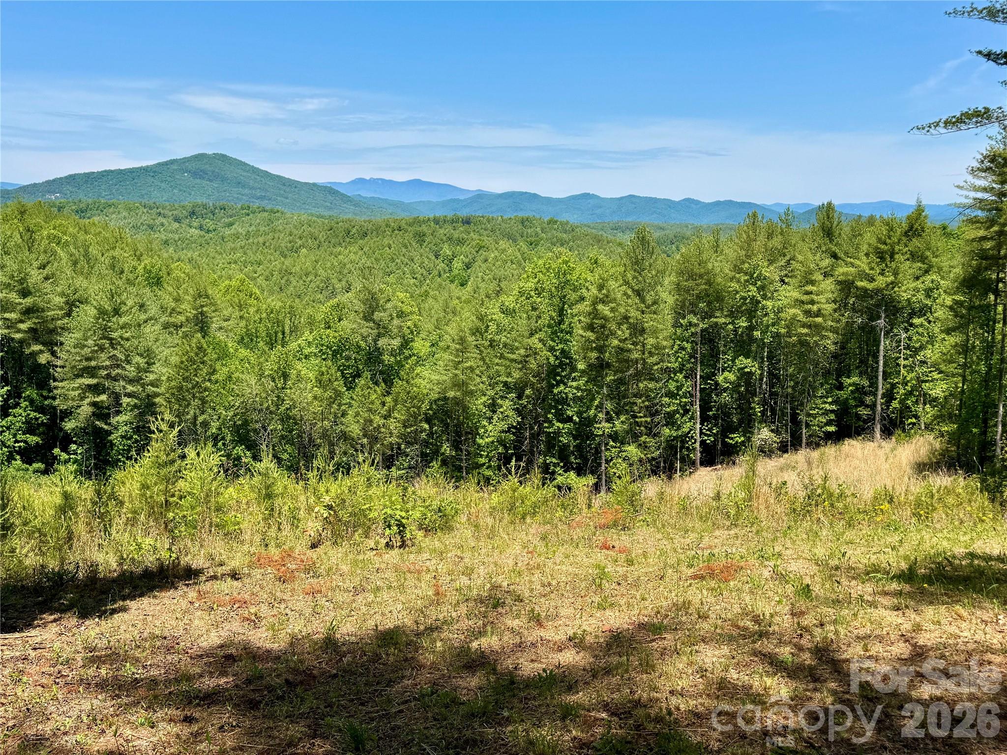 The Coves Mountain River Club - Land