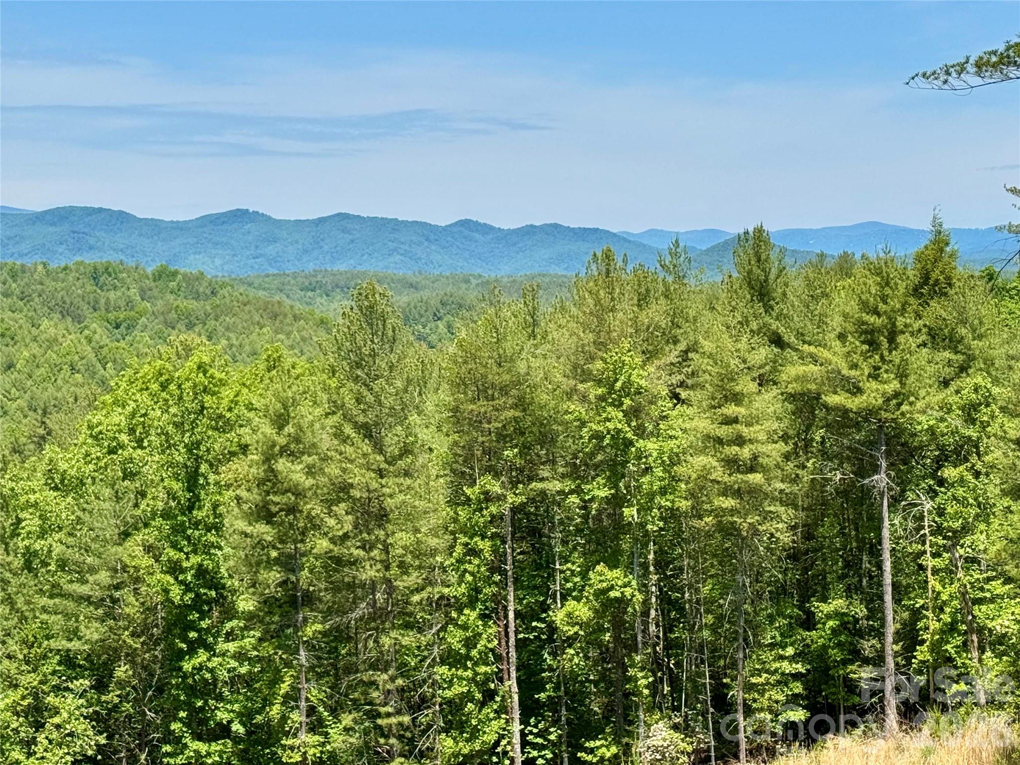 The Coves Mountain River Club - Land