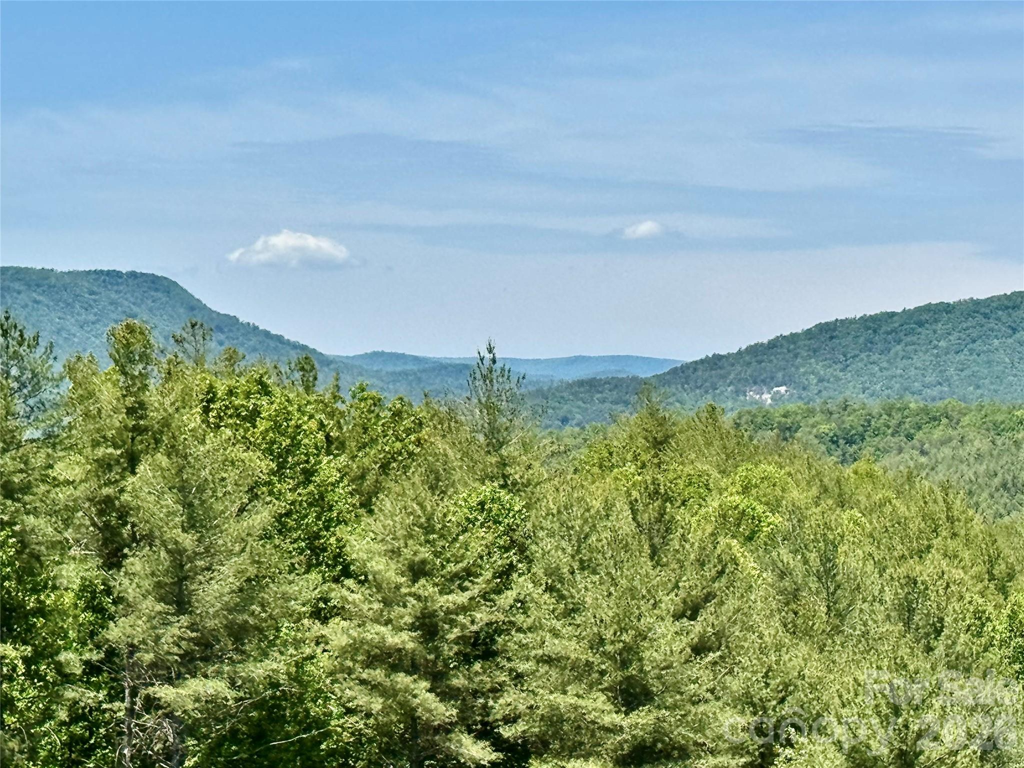 The Coves Mountain River Club - Land
