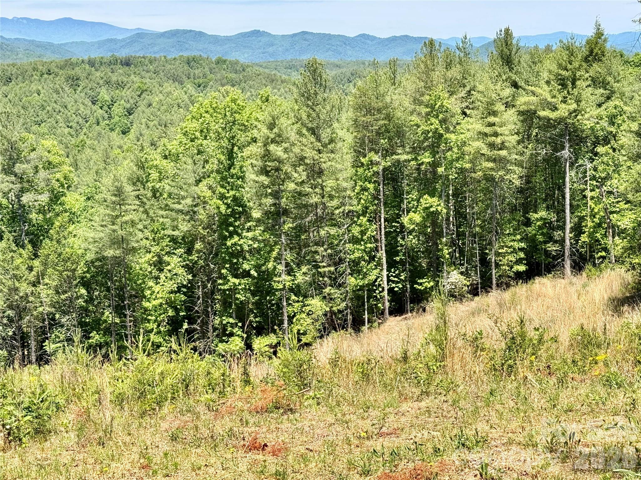 The Coves Mountain River Club - Land