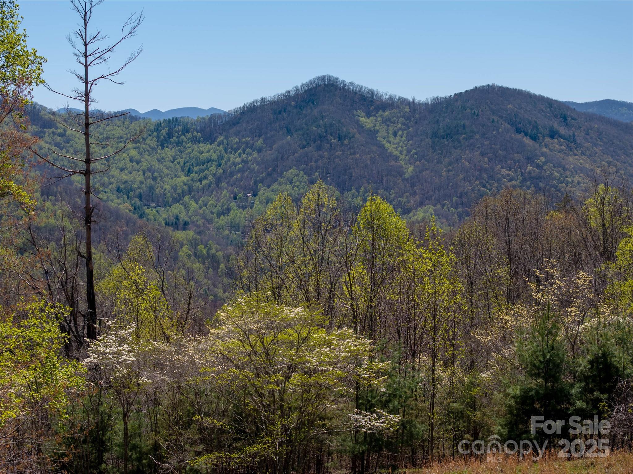 318 Brown Mountain Drive