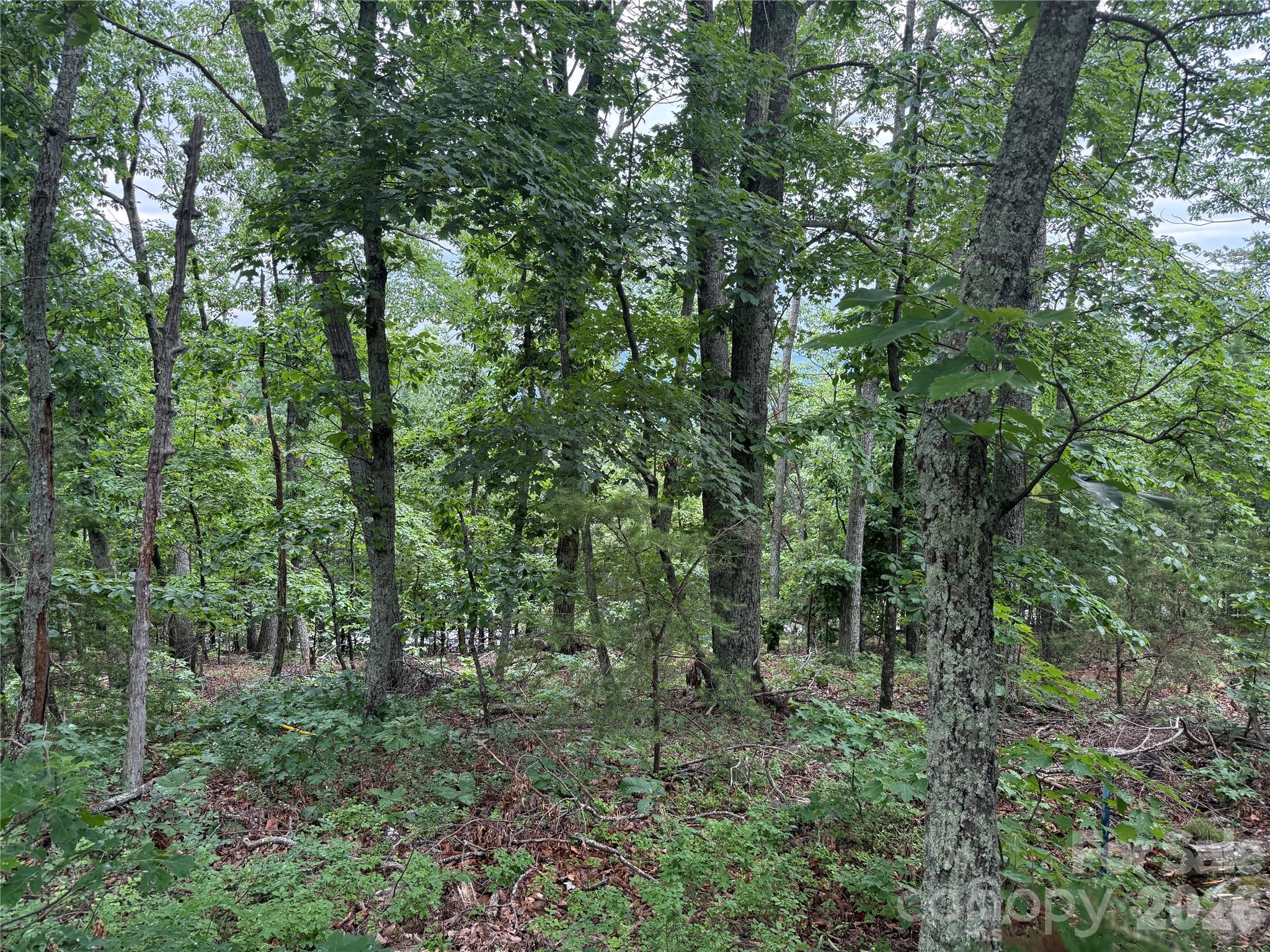 0 Arbra Mountain Way 54